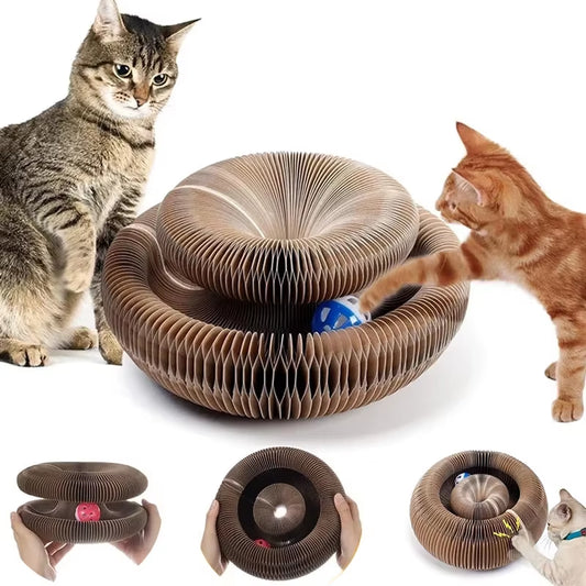 "Magic Organ Cat Scratcher – Foldable 2-in-1 Scratching Post & Interactive Toy"